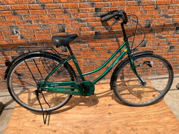 Mamachari Bike Green